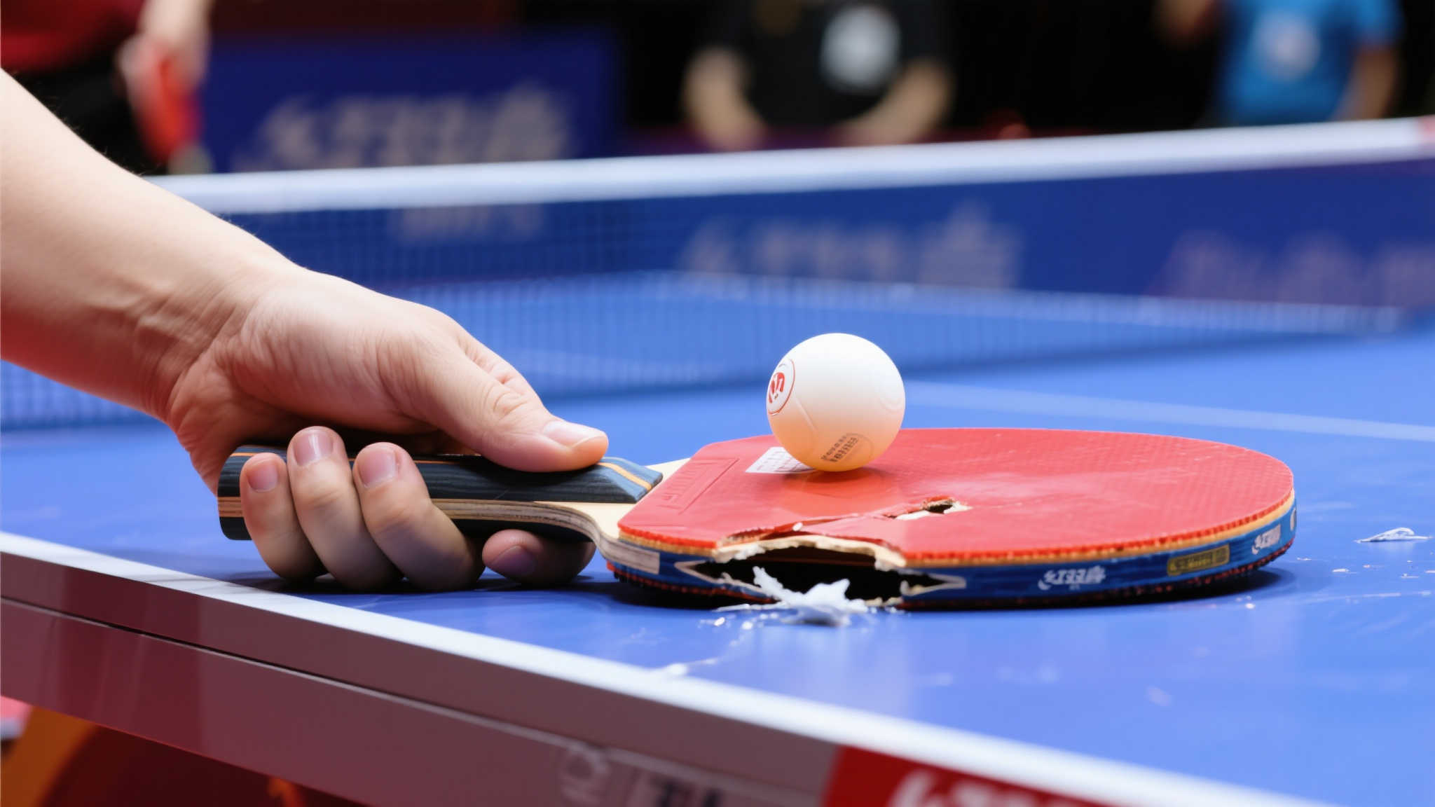 孙颖莎首战球拍故障，王楚钦球拍开胶令人震惊